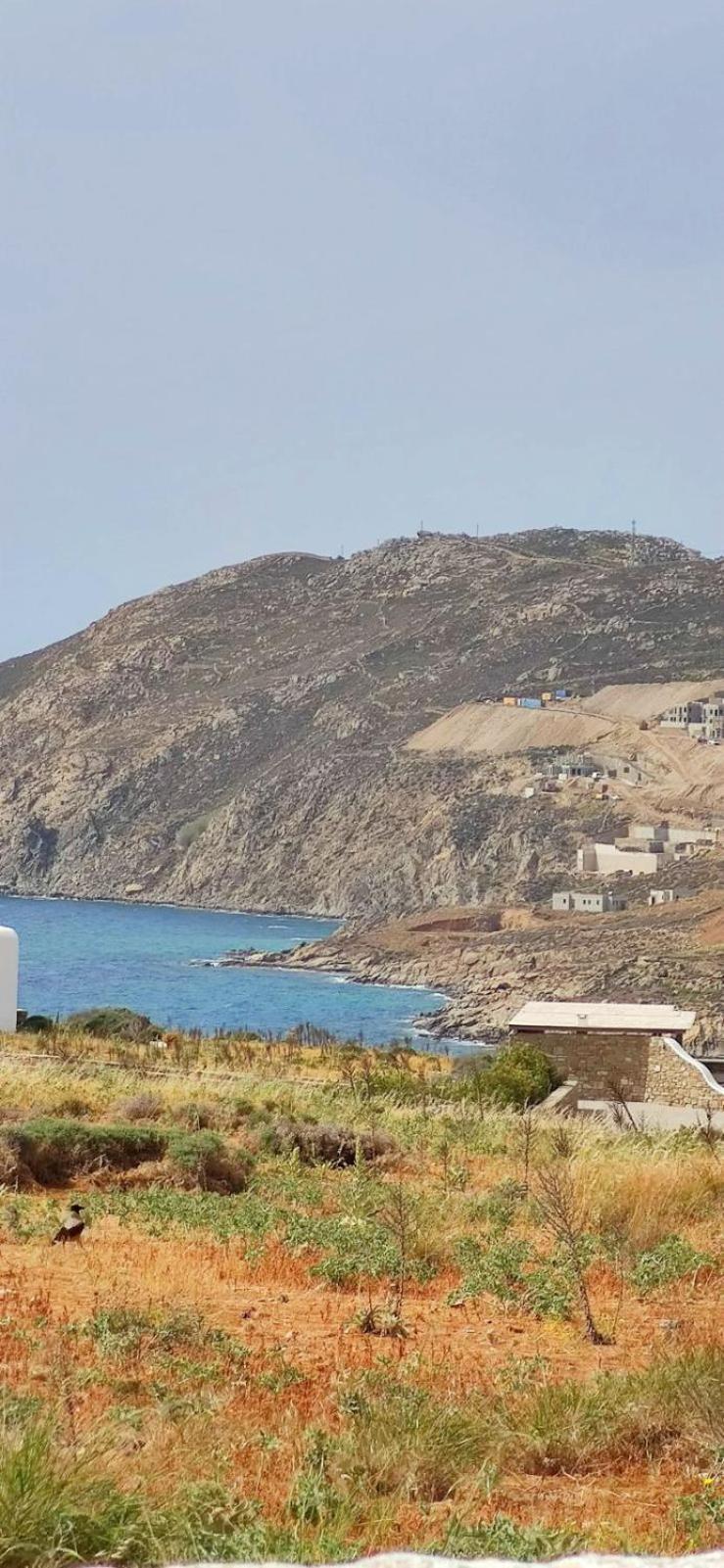 Mykonian Iros & * Kalo Livadi