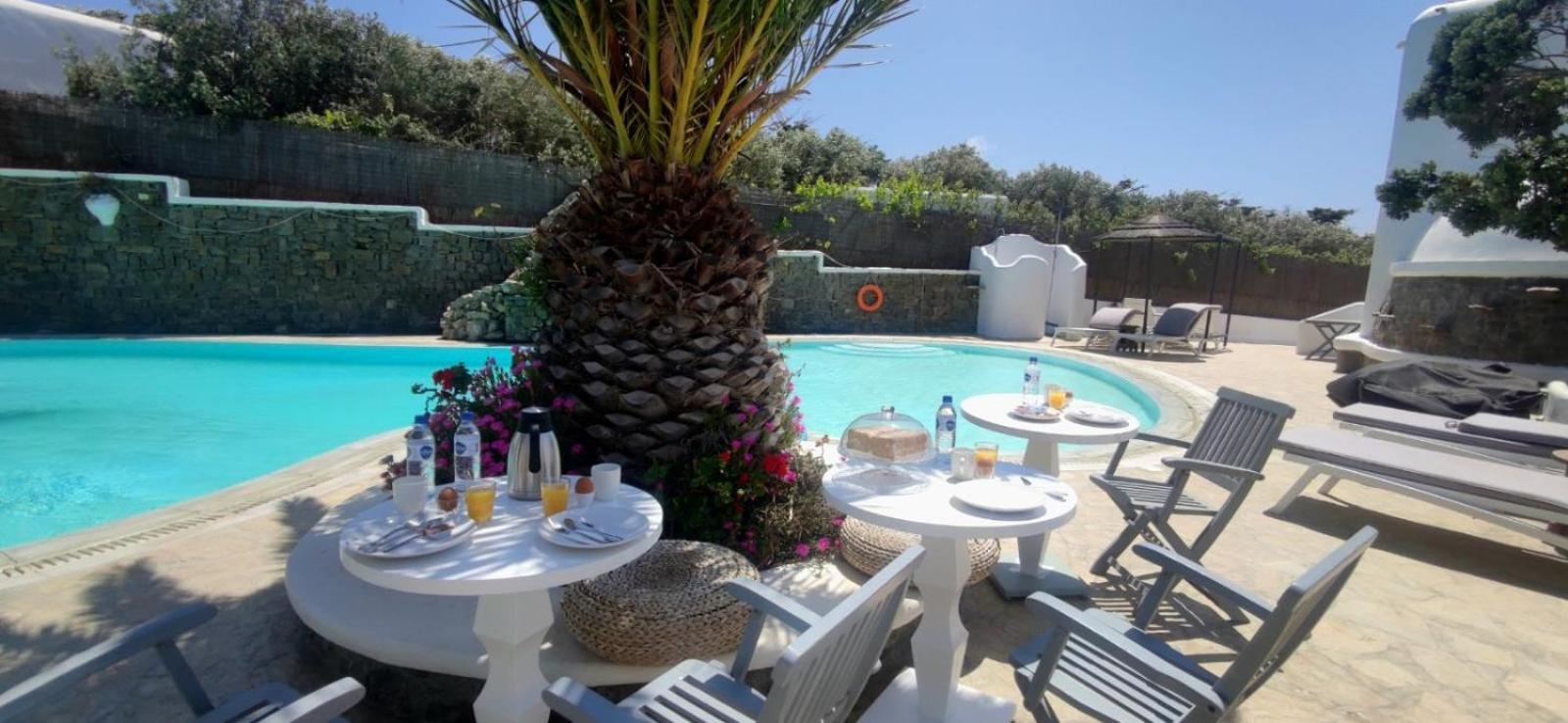 Villa Mykonian Iros & *